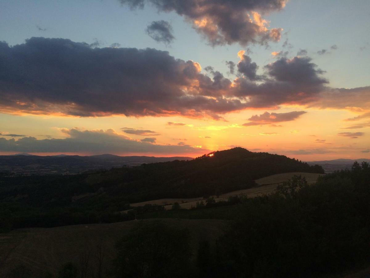 דירות Collazzone Umbria, "Casa Sagrantina" Con Piscina E Pergolato מראה חיצוני תמונה