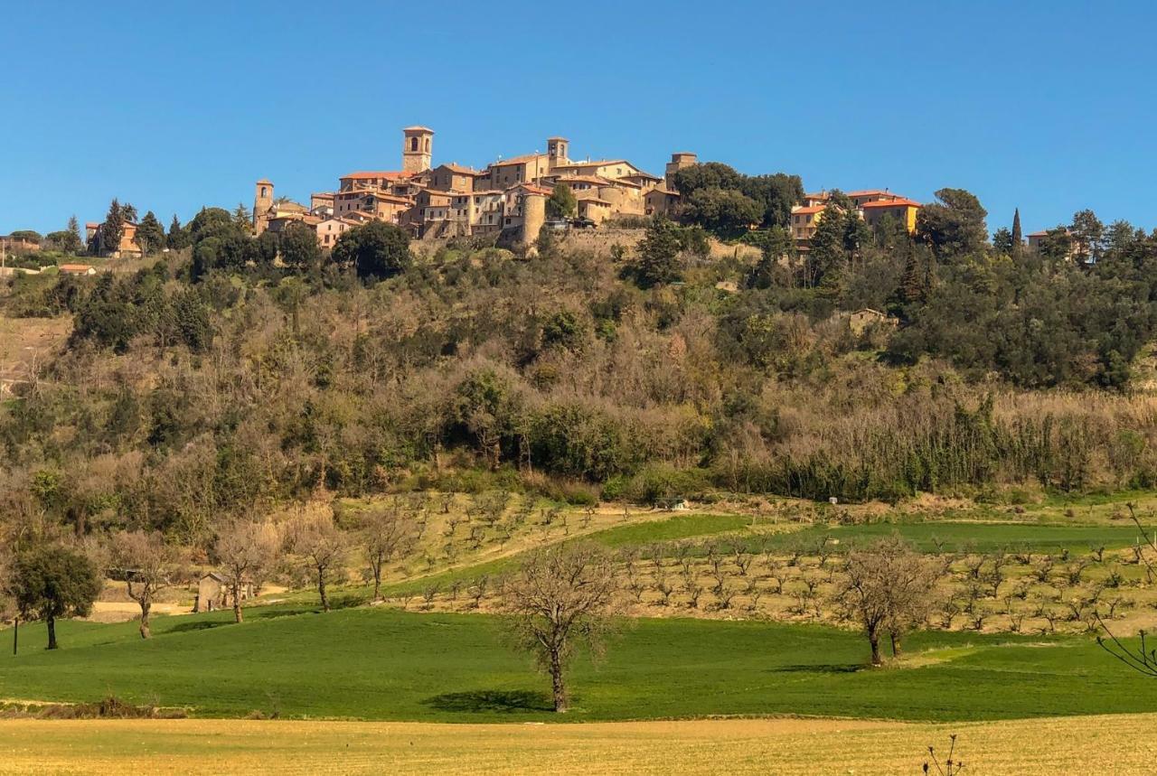 דירות Collazzone Umbria, "Casa Sagrantina" Con Piscina E Pergolato מראה חיצוני תמונה