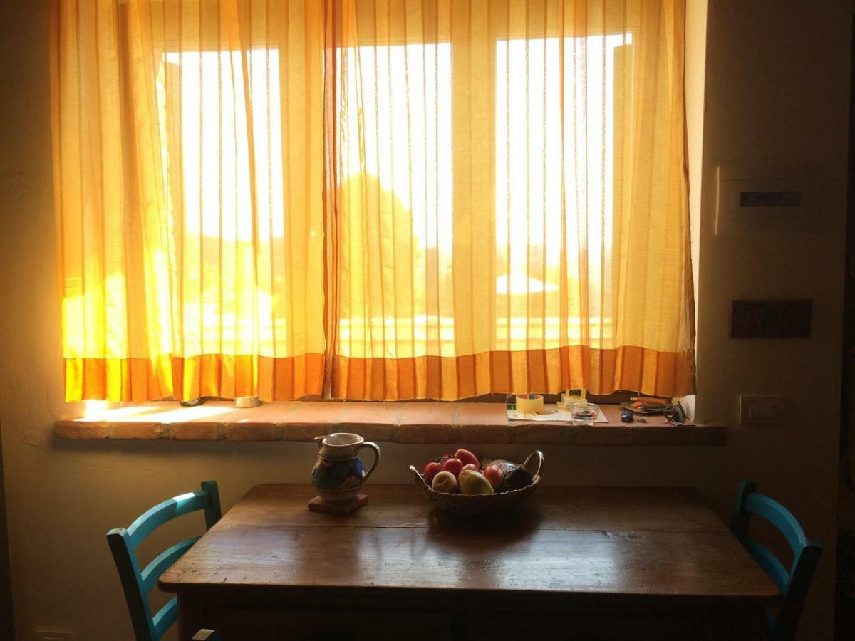 דירות Collazzone Umbria, "Casa Sagrantina" Con Piscina E Pergolato מראה חיצוני תמונה